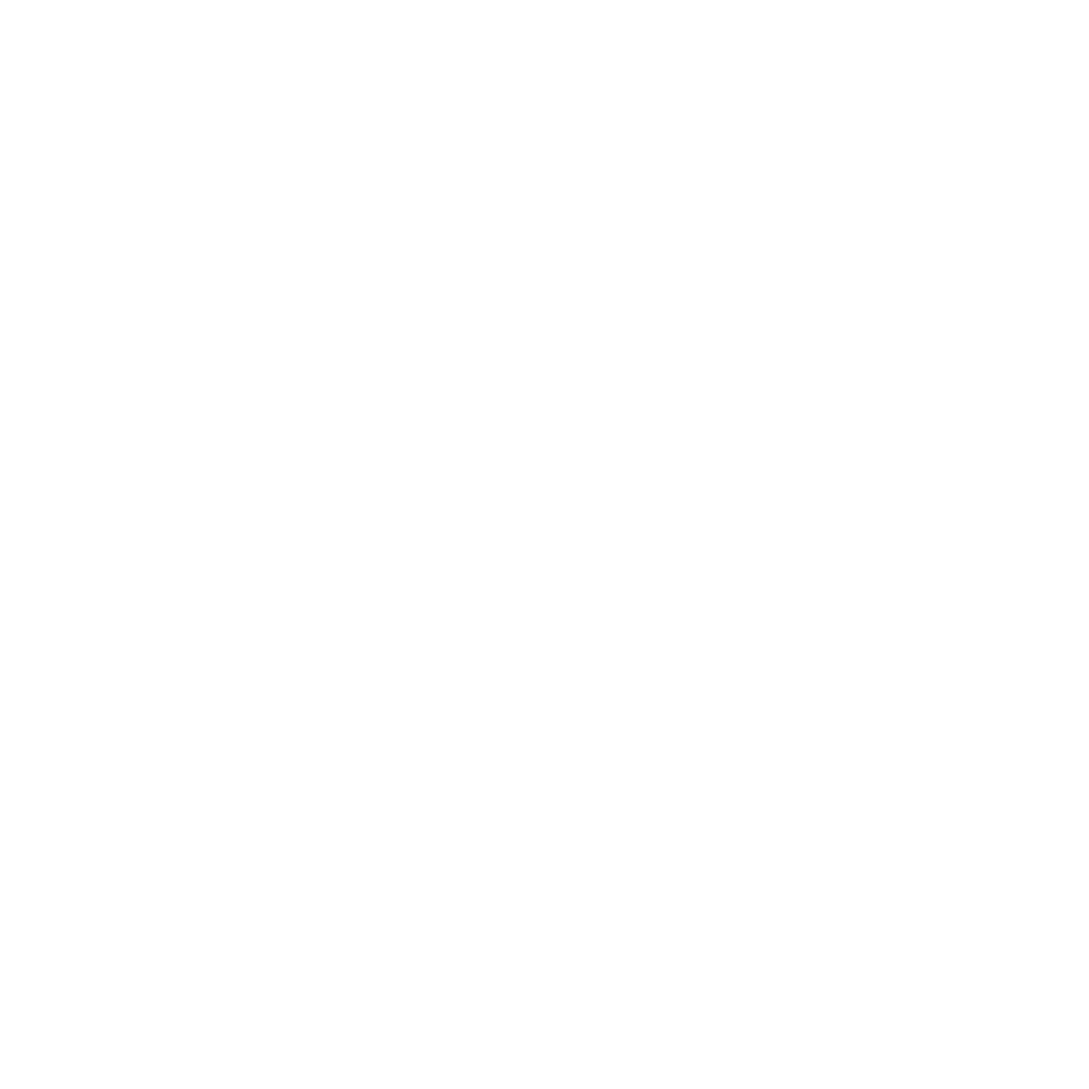 Logo-ECP